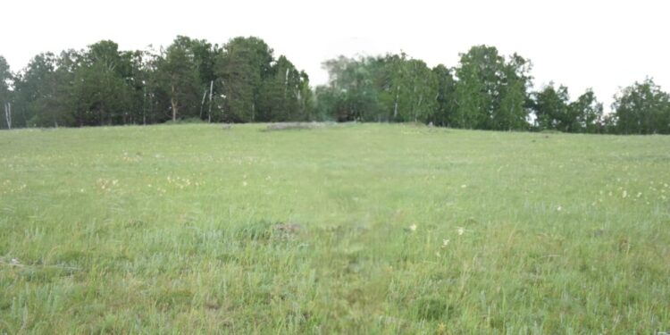 Игерілмеген жер мемлекет меншігіне қайтарылды