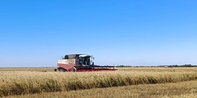 Қызылжар өңірінде 5 млн тонна астық жиналды