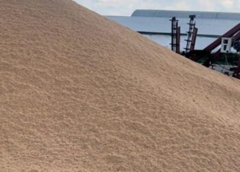 Азық-түлік корпорациясы фермерлердің астығын экспорттауға көмектеседі