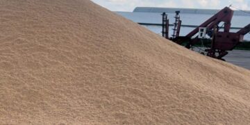 Азық-түлік корпорациясы фермерлердің астығын экспорттауға көмектеседі