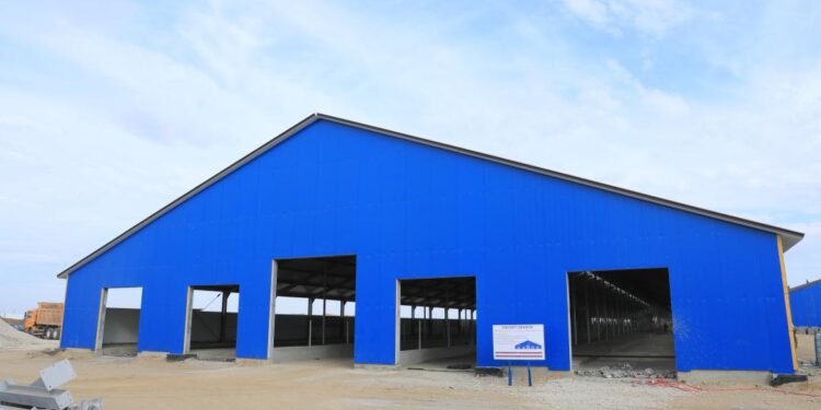 Ақтөбе облысында 800 басқа арналған сүт фермасы салынып жатыр