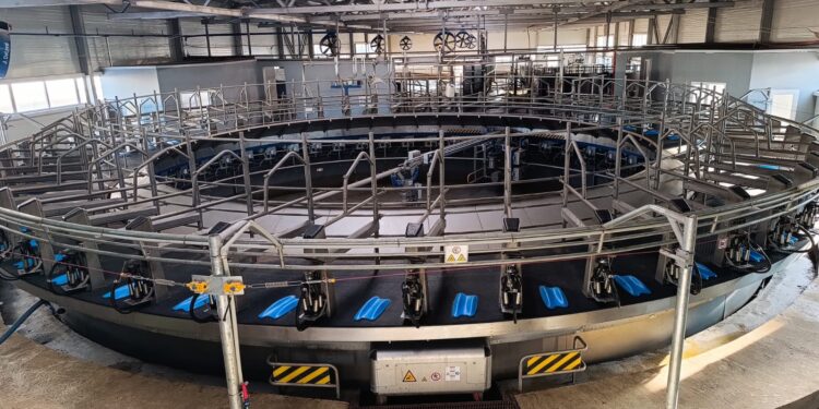 Үкіметте сүт фермаларын салудағы мәселелер қаралды