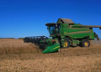 Ақмола облысында 6,6 млн тонна астық қамбаға құйылды