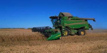 Ақмола облысында 6,6 млн тонна астық қамбаға құйылды