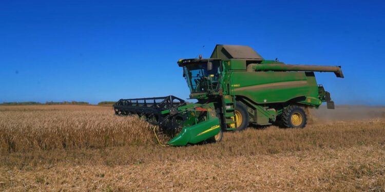 Ақмола облысында 6,6 млн тонна астық қамбаға құйылды