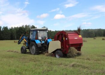 Павлодар облысында 2 млн тоннаға жуық шөп дайындалды