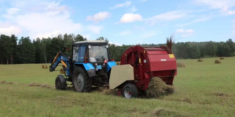 Павлодар облысында 2 млн тоннаға жуық шөп дайындалды