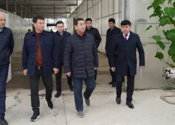 Министр түркістандық диқандарды мақта шаруашылығын дамытуға шақырды