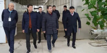 Министр түркістандық диқандарды мақта шаруашылығын дамытуға шақырды
