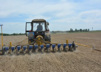 Егін егу науқанын қаржыландыру 29-қарашада басталады