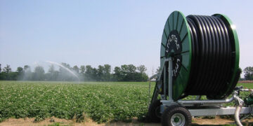 Павлодар облысында суармалы егіс алқабы 12,7 мың гектарға ұлғайды