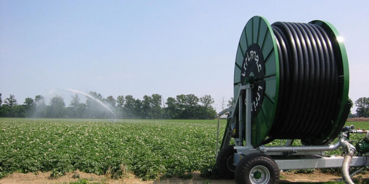 Павлодар облысында суармалы егіс алқабы 12,7 мың гектарға ұлғайды