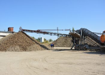 Жетісу облысының зауыттары күніне 5 мың тонна қант қызылшасын қабылдайды