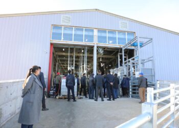 Алматы облысында ет комбинаты ашылады