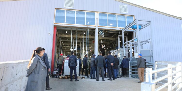 Алматы облысында ет комбинаты ашылады