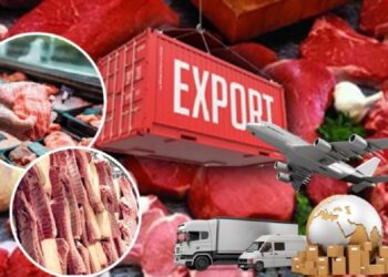 Қазақстан Қытай, Түркия және Еуропа елдеріне ет экспорттайды