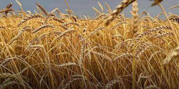 ҚазАгроҚаржы өсімпұлдарды есептен шығару акциясын өткізіп жатыр