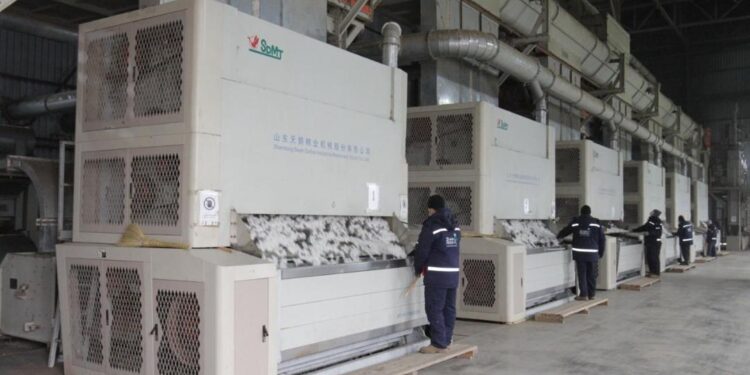 Мақтааралда мақта талшығын өндіретін зауыт іске қосылды