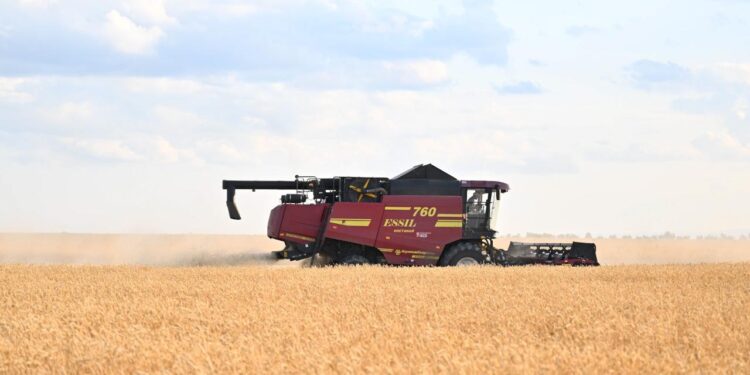 Рекордтық 580 млрд теңге егіншілерді қолдауға бағытталды