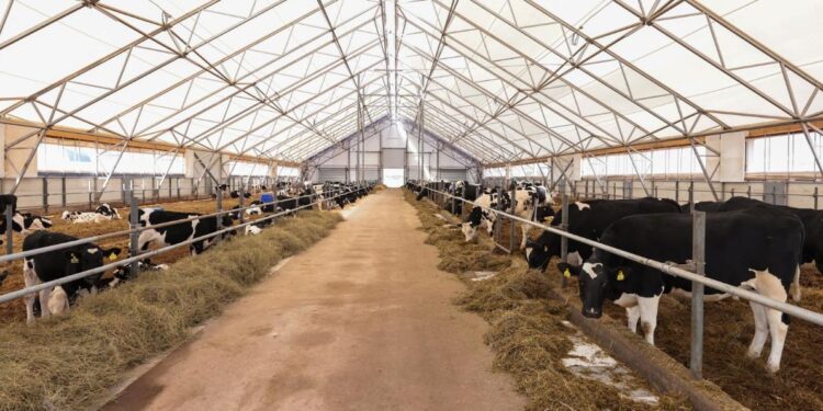 Елімізде мал басы артты