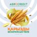 Аграрлық несие корпорациясы «Қарызды өсімпұлсыз төле» акциясының уақытын созды