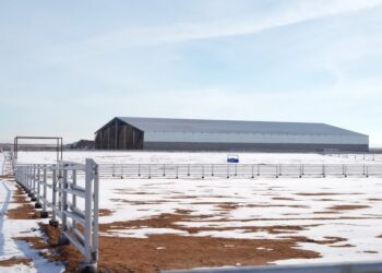 Арыста 50 мың басқа арналған бордақылау алаңы салынып жатыр