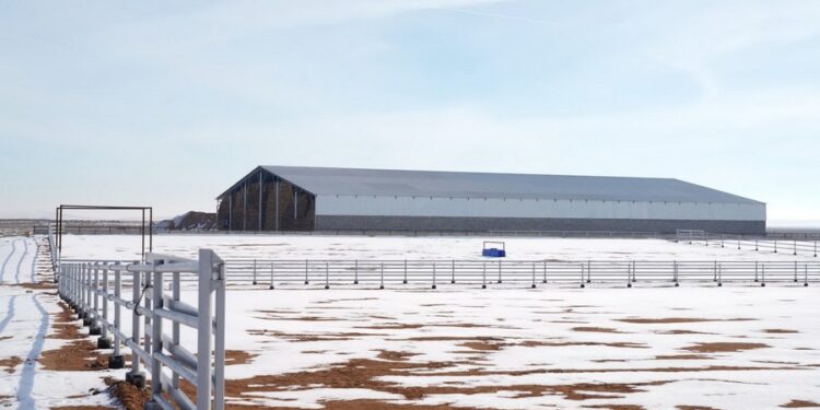 Арыста 50 мың басқа арналған бордақылау алаңы салынып жатыр