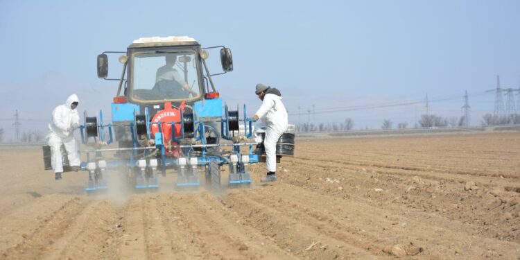 О. Бектенов шаруаларға қаржы бөлу жұмыстарын жеделдетуді тапсырды