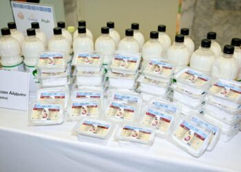 Қымыздан балмұздақтың 18 түрін шығаратын кәсіпкер