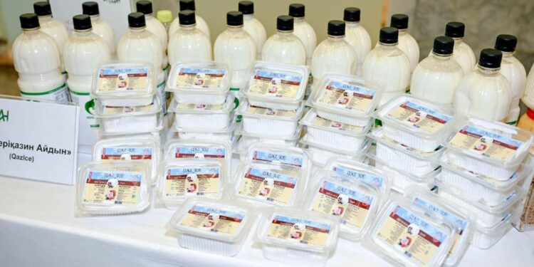 Қымыздан балмұздақтың 18 түрін шығаратын кәсіпкер