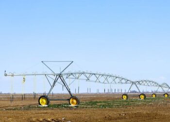 Түркістан облысында мақта өнімділігін 2,5 есеге арттыру көзделіп отыр