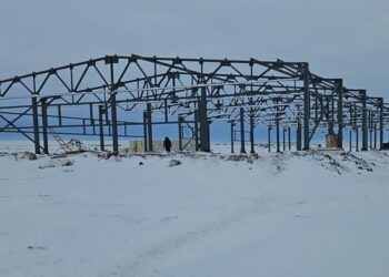 СҚО-да биенің құрғақ сүтін өндіретін зауыт іске қосылады