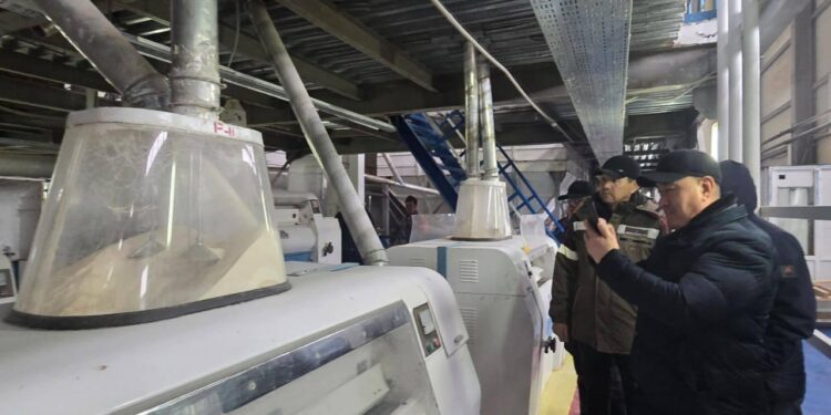 Бейнеу астық терминалы іске қосылды