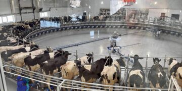 Орта Азияда теңдесі жоқ сауын жүйесі іске қосылды