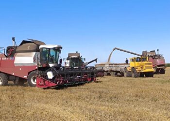 Азық-түлік келісімшарт корпорациясы фермерлеге қолдау көрсетіп келеді