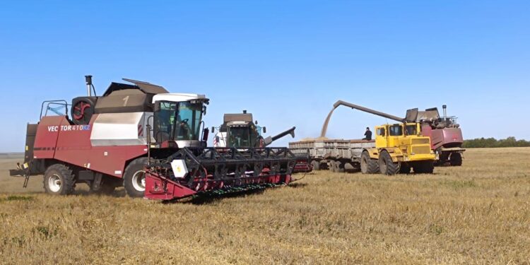 Азық-түлік келісімшарт корпорациясы фермерлеге қолдау көрсетіп келеді