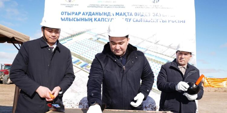 Отырарда 2 мақта өңдеу зауытының капсуласы салынды