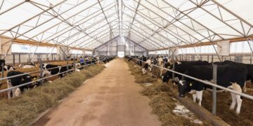 Биыл 31 тауарлы сүт фермасы мен ет өндіретін 9 құс фабрикасының құрылысы басталады