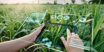 Агроөнеркәсіп саласына жасанды интеллект енгізуге грант бөлінеді