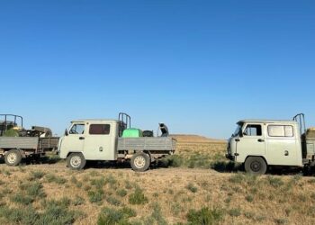 Биыл Үкімет шегірткемен күреске 7 млрд теңге бөлді