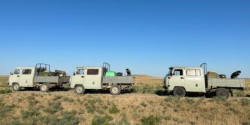 Биыл Үкімет шегірткемен күреске 7 млрд теңге бөлді