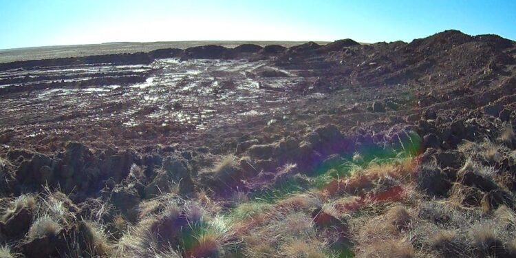 Жайылымдық жерден заңсыз алтын өндірген