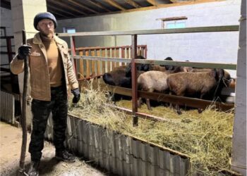 Қаладағы қызметін ауыл шаруашылығына алмастырған азамат