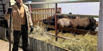 Қаладағы қызметін ауыл шаруашылығына алмастырған азамат