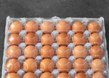 Жұмыртқа бағасын тұрақтандыру туралы Меморандумға қол қойлды