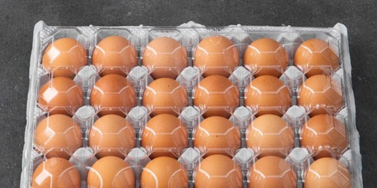 Жұмыртқа бағасын тұрақтандыру туралы Меморандумға қол қойлды