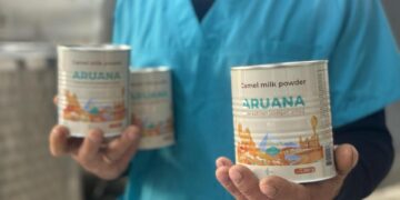 «King Milk» зауыты жылына 70 тоннадан астам түйе сүтін өңдейді