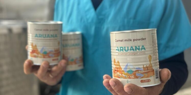 «King Milk» зауыты жылына 70 тоннадан астам түйе сүтін өңдейді