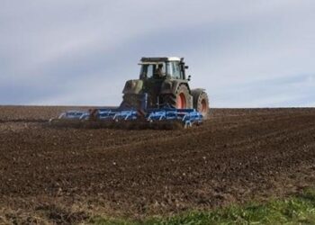 Жамбыл облысында егіс алқабы 641 000 гектардан асады