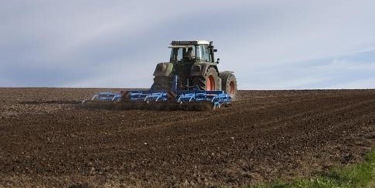 Жамбыл облысында егіс алқабы 641 000 гектардан асады